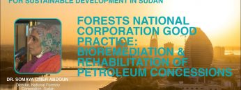 Forests National Corporation good practice: Bioremediation & rehabilitation of petroleum concessions