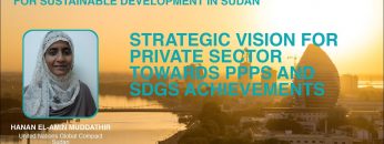 Strategic vision for private sector towards PPPs and SDGs achievements